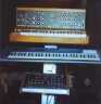 Moog Cookbook Live Synths